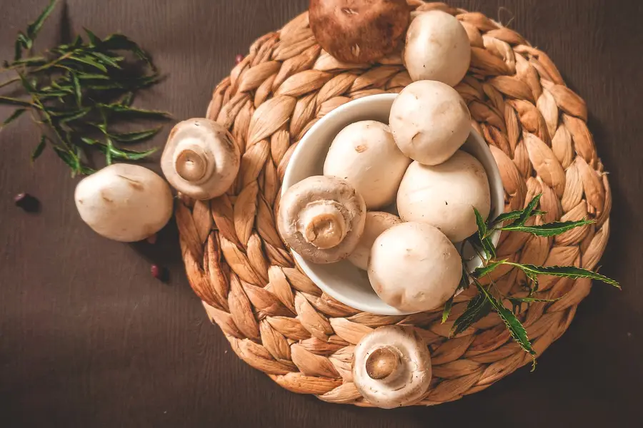 Panier de champignons en forêt cévenole humide à l’automne