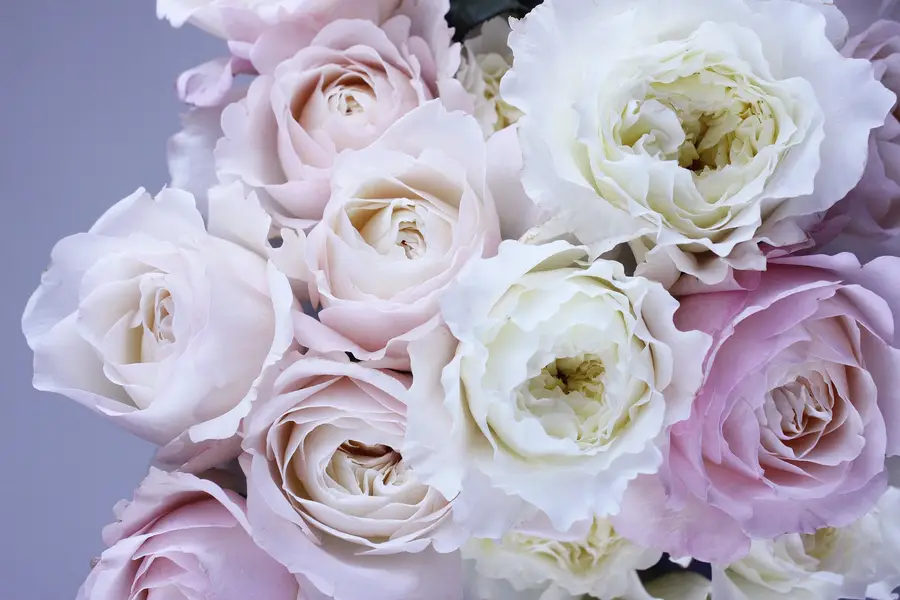Bouquet de mariage pastel composé de roses, pivoines et feuillages saisonniers
