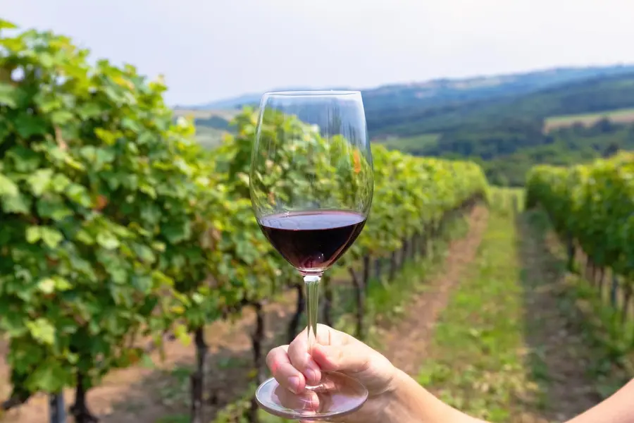 Bouteilles de vins effervescents français dans un seau à glace