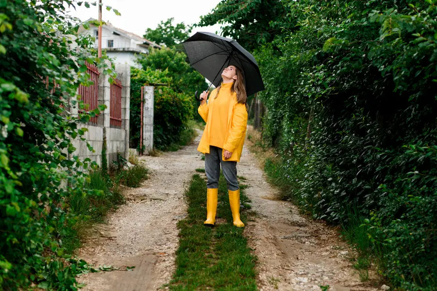 Petit jardin de pluie planté recevant une gouttière dans une cour urbaine
