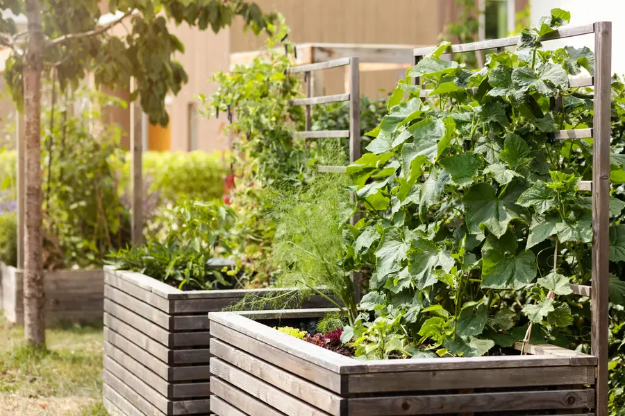 Potager vertical en palette avec jardinières sur un balcon français