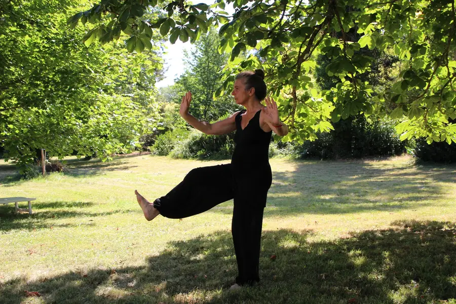 Pratiquante exécutant un mouvement lent de tai-chi dans un parc