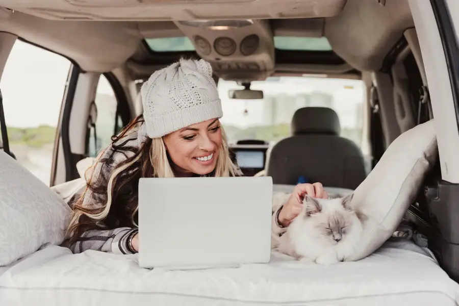 Chien attaché et chat en caisse dans un van aménagé